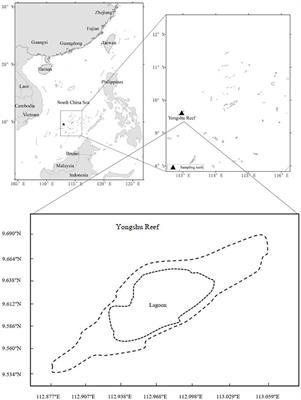 Changes in population biology of three coral reef fishes in the South China Sea between 1998–1999 and 2016–2019